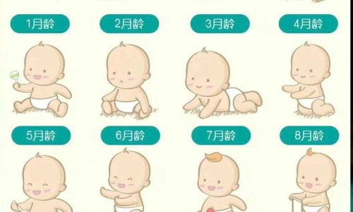 沐利汀滴眼液图片及价格-【沐澌汀】沐町 - 沐利汀滴眼液图片网