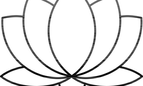沐利芸-【沐澌汀】沐町 - 沐利汀滴眼液图片网