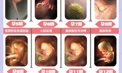 沐利汀滴眼液图片及价格-【沐澌汀】沐町 - 沐利汀滴眼液图片网