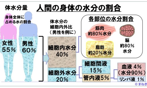 沐利汀滴眼液图片及价格-【沐澌汀】沐町 - 沐利汀滴眼液图片网